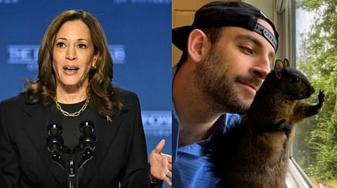 5,34,000 ഫോളോവേഴ്സ്, ലോകമെമ്പാടും ആരാധകർ; 'പീനട്ട് അണ്ണാൻ്റെ' ദയാവധം യുഎസ് തെരഞ്ഞെടുപ്പിനെ സ്വാധീനിക്കുമോ?