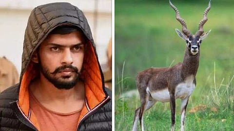 സൽമാൻ ഖാനെതിരെയുള്ള നിരന്തര ഭീഷണി ഒരു മൃഗത്തിന്റെ പേരിൽ! എന്താണ് ബിഷ്ണോയ് സമൂഹവും കൃഷ്ണമൃഗവും തമ്മിലുള്ള ബന്ധം