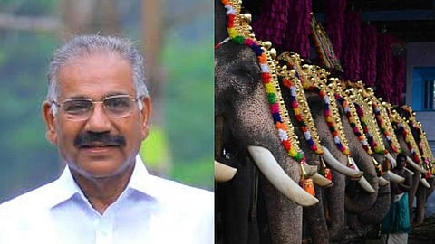 ആന എഴുന്നള്ളിപ്പ് കേരളത്തിന്റെ തനിമ, ഇത് കാണാന് കൂടിയാണ് വിനോദസഞ്ചാരികള് വരുന്നത്: എ.കെ. ശശീന്ദ്രന്