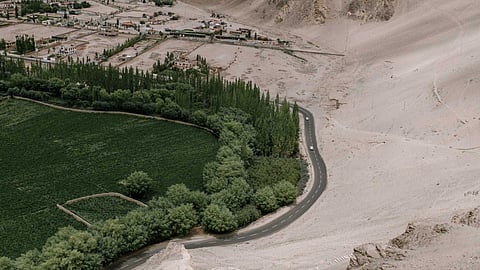രാജ്യത്തെ ഏറ്റവും വലിയ മരുഭൂമിയെ വനമാക്കി മാറ്റി ചൈന
