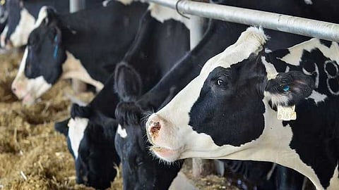 പ്രതീകാത്മക ചിത്രം