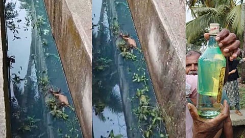 എച്ച്പിസിഎല്ലിന് വീഴ്ച പറ്റി, ഇന്ധനം എത്രത്തോളം പരന്നിട്ടുണ്ട് എന്ന് പരിശോധിക്കും: ഡെപ്യൂട്ടി കളക്ടർ അനിത കുമാരി