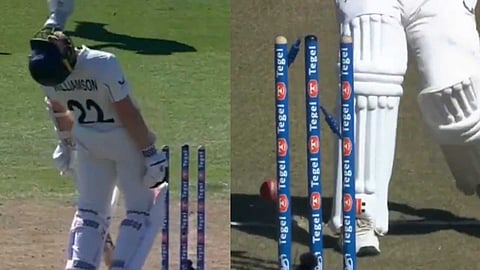 VIDEO | നാറ്റിക്കരുത് ഒരു കയ്യബദ്ധം; കെയ്ൻ വില്യംസണിൻ്റെ അവിശ്വസനീയമായ പുറത്താകൽ വൈറൽ