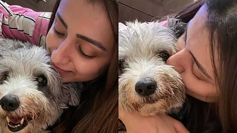 'എന്റെ മകന് സോറോ ഞങ്ങളെ വിട്ടുപോയി...'; സിനിമയില് നിന്നും മാറി നില്ക്കുന്നതായി തൃഷ