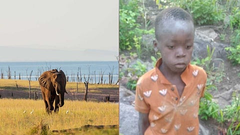 മണ്ണില് കുഴികുത്തി വെള്ളം കണ്ടെത്തി, കാട്ടുപഴങ്ങള് കഴിച്ച് വിശപ്പടക്കി; കൊടുംകാട്ടില് എട്ടുവയസുകാരന്റെ അതിജീവനം