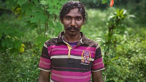 വീണ്ടും കാട്ടാനക്കലി; മലപ്പുറത്ത് കാട്ടാന ആക്രമണത്തിൽ ആദിവാസി യുവാവിന് ദാരുണാന്ത്യം