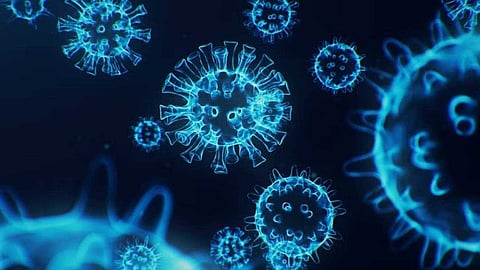 ചൈനയില് വ്യാപിക്കുന്ന എച്ച്എംപിവി; ആശങ്കപ്പെടേണ്ട സാഹചര്യമില്ലെന്ന് ആരോഗ്യവിദഗ്ധര്