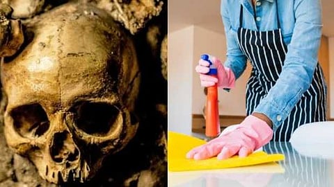 രക്തക്കറ കളയാനും എല്ലുകൾ അലിയിക്കാനും ട്യൂട്ടോറിയൽ; തെളിവില്ലാതെ കുറ്റകൃത്യം ചെയ്യാൻ പ്രേരിപ്പിക്കരുതെന്ന് സോഷ്യൽ മീഡിയ