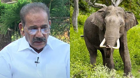 IMPACT | "വന്യജീവി ആക്രമണം തടയാൻ പ്രതിരോധ പ്രവർത്തനങ്ങൾ നടത്തും, രണ്ടു രീതിയിലുള്ള പദ്ധതികൾ കൊണ്ടുവരും"; മന്ത്രി എ.കെ ശശീന്ദ്രൻ