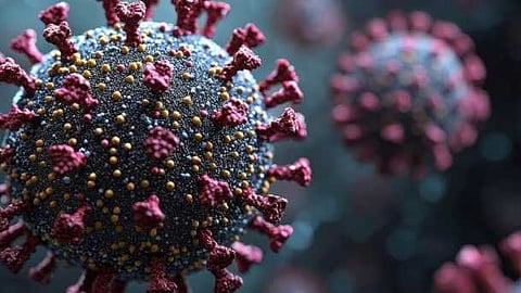 ഇന്ത്യയിൽ ആദ്യ HMPV കേസ്; 8 മാസം പ്രായമുള്ള കുഞ്ഞിന് രോഗബാധ സ്ഥിരീകരിച്ചു