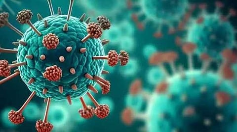 ഇന്ത്യയിൽ HMPV കേസുകളുടെ എണ്ണം രണ്ടായി; സ്ഥിരീകരിച്ച് കർണാടക ആരോഗ്യ മന്ത്രാലയം