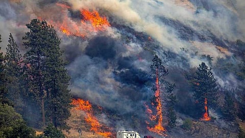 കാട്ടുതീയിൽ മരിച്ചവരുടെ എണ്ണം 11 ആയി; 10,000ത്തോളം കെട്ടിടങ്ങൾ നശിച്ചതായി റിപ്പോർട്ട്
