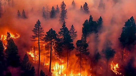 കാലിഫോർണിയയിലെ കാട്ടുതീ ദിശ മാറുന്നു; കൂടുതൽ ആളുകളെ മാറ്റി പാർപ്പിക്കും, രക്ഷാപ്രവർത്തനം തുടരുന്നു