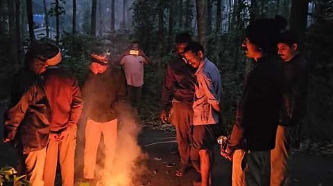 കടുവ ഭീതിയിൽ അമരക്കുനി, തെരച്ചിൽ ആരംഭിച്ച് വനം വകുപ്പ്; മേഖലയിലെ സ്കൂളുകൾക്ക് പ്രദേശിക അവധി