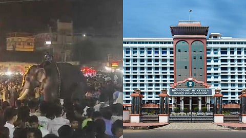 "പുതിയങ്ങാടി നേർച്ചയ്ക്കിടെ ആന ഇടഞ്ഞ സംഭവത്തിൽ ജില്ലാ കലക്ടർ റിപ്പോർട്ട് നൽകാഞ്ഞതെന്തുകൊണ്ട്?" വിമർശനവുമായി ഹൈക്കോടതി