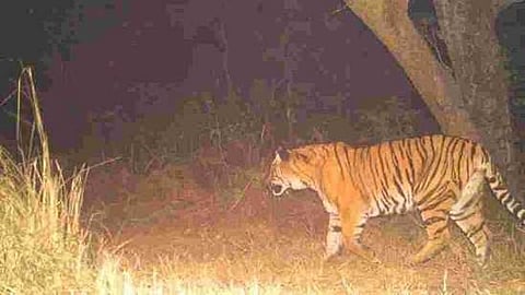 പ്രതീകാത്മക ചിത്രം