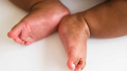 ചികിത്സാ പിഴവെന്ന് പരാതി; കുമളിയിലെ
നവജാത ശിശുവിൻ്റെ മൃതദേഹം പോസ്റ്റുമോർട്ടം നടത്താൻ അനുമതി