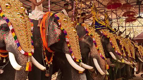 ചട്ടങ്ങള് പാലിച്ച് ആന എഴുന്നള്ളിപ്പ് നടത്താമെന്ന് സുപ്രീം കോടതി; സ്റ്റേ നീക്കണമെന്ന ആവശ്യം തള്ളി