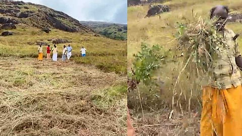 ചൊക്രമുടിയിൽ വീണ്ടും കൈയേറ്റ ശ്രമം; വിലക്ക് നിലനിൽക്കേ വിവാദ ഭൂമിയിൽ അതിക്രമിച്ചു കയറി