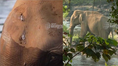 അതിരപ്പിള്ളിയിൽ മസ്തകത്തിന് പരിക്കേറ്റ ആനയെ കണ്ടെത്തി