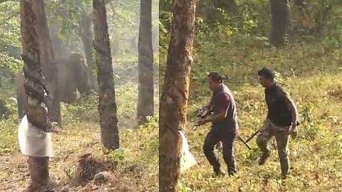 അതിരപ്പിള്ളിയിൽ മസ്തകത്തിൽ മുറിവേറ്റ കാട്ടാനയെ മയക്കുവെടി വെച്ചു; ചികിത്സാ നടപടികൾ ആരംഭിച്ചു