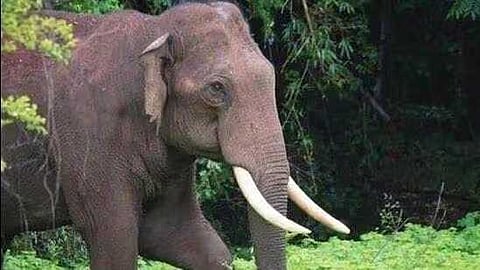 പ്രതീകാത്മക ചിത്രം