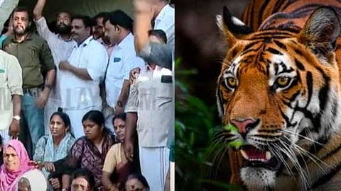 വയനാട്ടിലെ കടുവ ആക്രമണം; പ്രതിഷേധം ശക്തമാക്കി പഞ്ചാരക്കൊല്ലി നിവാസികൾ, പൊലീസും നാട്ടുകാരുമായി സംഘർഷം