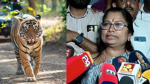 പഞ്ചാരക്കൊല്ലിയിൽ സമരക്കാർ ഉന്നയിച്ച ആവശ്യങ്ങൾ അംഗീകരിച്ചുവെന്ന് എഡിഎം; വീണ്ടും കടുവയെ കണ്ടതായി നാട്ടുകാർ