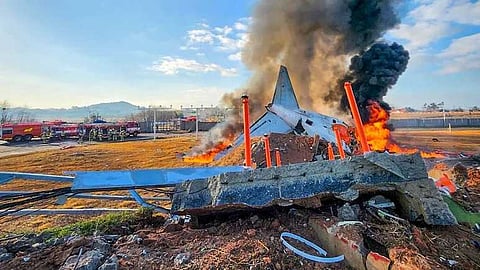 ദക്ഷിണകൊറിയന് വിമാനാപകടം: പക്ഷിക്കൂട്ടം ഇടിച്ചെന്ന് പ്രാഥമിക റിപ്പോർട്ട്