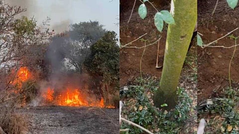 പഞ്ചായത്ത് വൈസ് പ്രസിഡന്റും സംഘവും നിധി തേടി കുഴിയെടുത്തു; പിന്നാലെ കോട്ടയ്ക്കുള്ളില് തീപിടിത്തം