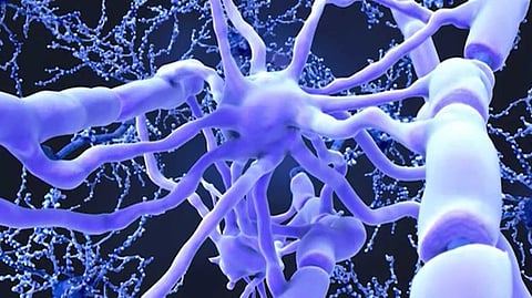 മഹാരാഷ്ട്രയിൽ ഗില്ലിൻ ബാരെ സിൻഡ്രോം ബാധിച്ചവരുടെ എണ്ണം 100 കടന്നു; ജാഗ്രതാ പാലിക്കണമെന്ന് ആരോഗ്യ വകുപ്പ്