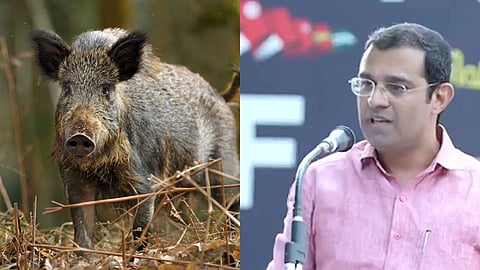 "മൃഗത്തിന് വേദനിച്ചാല് നാട്ടിലേക്ക് ഇറങ്ങില്ല, കൃഷിക്കാര്ക്ക് വെടിവെക്കാനുള്ള അവകാശം നല്കണം": റോജി എം. ജോണ് എംഎല്എ