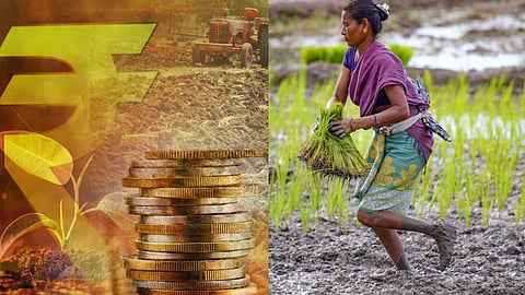 UNION BUDGET 2025 | പുതിയ ബജറ്റിൽ കാർഷിക മേഖലയ്ക്ക് എന്തൊക്കെ ലഭിച്ചു? വിശദമായി അറിയാം