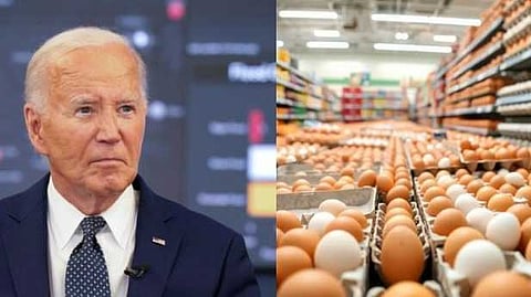 കോഴിയോടും മുട്ടയോടും എന്തിനാണ് ശത്രുത?; യു എസിലെ മുട്ടക്ഷാമത്തിനു പിന്നിൽ ബൈഡനെന്ന് ട്രംപിൻ്റെ വക്താവ്