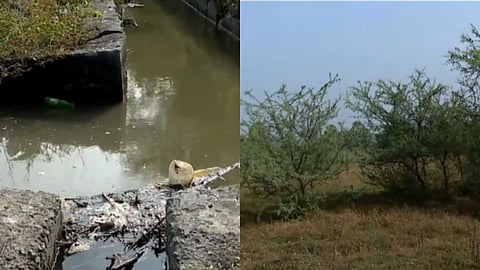 എലപ്പുള്ളി മദ്യനിർമാണ പ്ലാന്റ്: ഭൂമി തരംമാറ്റാൻ ഒയാസിസ് നൽകിയ അപേക്ഷ തള്ളി റവന്യൂ വകുപ്പ്