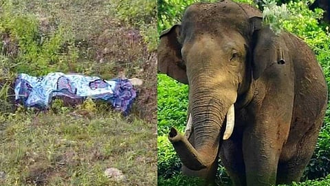 കാട്ടാനക്കലിയില് വീണ്ടും മരണം; വയനാട് നൂല്പ്പുഴയില് യുവാവ് കൊല്ലപ്പെട്ടു: ആക്രമണം കടയില് പോയി മടങ്ങുന്ന വഴി