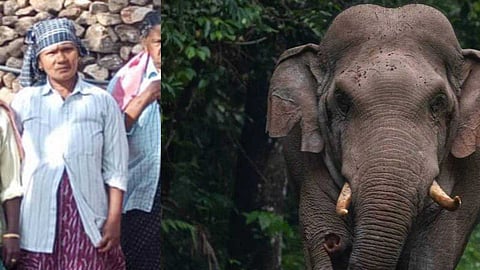 ഇടുക്കിയില് കാട്ടാന ആക്രമണത്തില് കൊല്ലപ്പെട്ട സോഫിയയുടെ ഖബറടക്കം ഇന്ന്; കുടുംബത്തിന് 10 ലക്ഷം രൂപ ധനസഹായം നല്കും