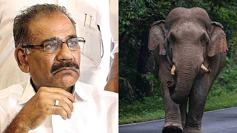 വന്യജീവി ആക്രമണത്തിൽ സർക്കാർ വേണ്ടതെല്ലാം ചെയ്യുന്നുണ്ട്, ഉന്നതതല യോഗത്തിൽ അടിയന്തര നടപടികൾ സ്വീകരിക്കും: എ.കെ. ശശീന്ദ്രൻ