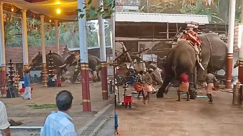 കോഴിക്കോട് കൊയിലാണ്ടിയില് ക്ഷേത്രത്തില് ഉത്സവത്തിനിടെ ആനയിടഞ്ഞു, മൂന്ന് പേര് മരിച്ചു; നിരവധി പേര്ക്ക് പരിക്ക്