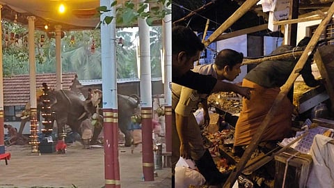 കൊയിലാണ്ടിയില് ആനകളിടഞ്ഞ സംഭവം: ഇടപെട്ട് ഹൈക്കോടതി; ഗുരുവായൂര് ദേവസ്വത്തോടും വനം വകുപ്പിനോടും വിശദീകരണം തേടി