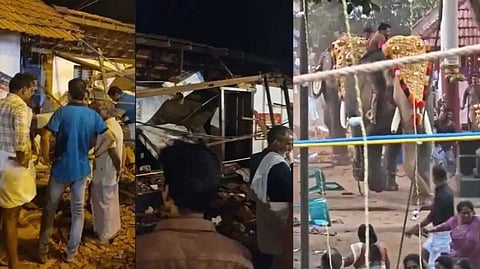 കൊയിലാണ്ടിയില് ആനകളിടഞ്ഞ സംഭവത്തില് കേസെടുത്ത് പൊലീസ്; 'സമഗ്രമായ അന്വേഷണം നടത്തും'