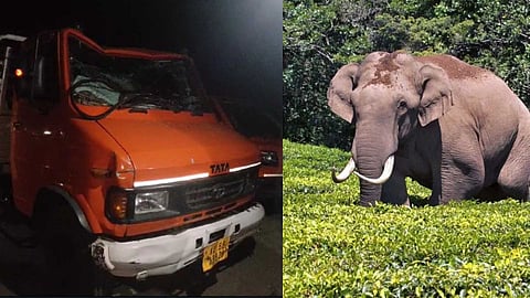 മൂന്നാറിൽ വീണ്ടും പടയപ്പയുടെ ആക്രമണം; മദപ്പാടിനിടെ തകർത്തത് ഗ്യാസ് ലോറി