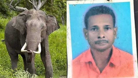 തൃശൂരിൽ 58കാരനെ കാട്ടാന ചവിട്ടിക്കൊന്നു; മരിച്ചത് താമരവെള്ളച്ചാൽ സ്വദേശി പ്രഭാകരൻ