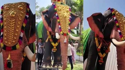 കഴുത്തിൽ മണിയും, സ്വർണ വർണ നെറ്റിപ്പട്ടവും ചാർത്തി തലയെടുപ്പോടെ കോമ്പാറ കണ്ണൻ; റോബോ ആനയുമായി തൃശൂർ ക്ഷേത്രം
