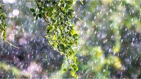 പൊള്ളുന്ന ചൂടിനൊപ്പം വേനൽ മഴയും; പൊതുജനങ്ങൾ ജാഗ്രത പാലിക്കണമെന്ന് അധികൃതർ