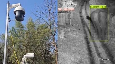 വന്യമൃഗശല്യ പ്രതിരോധിക്കാൻ AI; വയനാട്ടിൽ പുതിയ പരീക്ഷണവുമായി വനം വകുപ്പ്