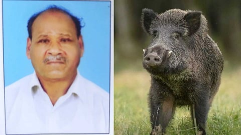 കണ്ണൂരിൽ കാട്ടുപന്നി ആക്രമണത്തിൽ കർഷകൻ മരിച്ചു