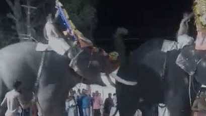 തിരുവല്ല ശ്രീവല്ലഭ ക്ഷേത്രത്തിൽ ഉത്സവത്തിന് ആനയിടഞ്ഞു; മൂന്നുപേർക്ക് പരിക്ക്