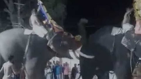 തിരുവല്ല ശ്രീവല്ലഭ ക്ഷേത്രത്തിൽ ആനയിടഞ്ഞ സംഭവം: "ആനയ്ക്ക് മദപ്പാട്, അപകടത്തിന് കാരണം ക്ഷേത്രം അധികൃതരുടെ അനാസ്ഥ"; ആരോപണവുമായി നാട്ടുകാർ