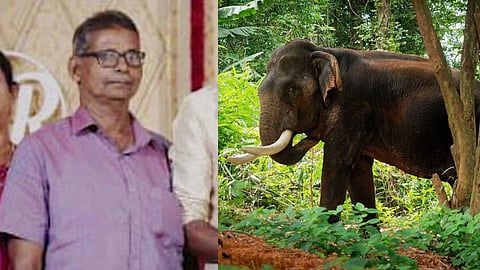 കോതമംഗലത്ത് വീടിനടുത്തെത്തിയ കാട്ടാനയെ കണ്ട് പേടിച്ചോടിയ വൃദ്ധൻ കുഴഞ്ഞുവീണ് മരിച്ചു